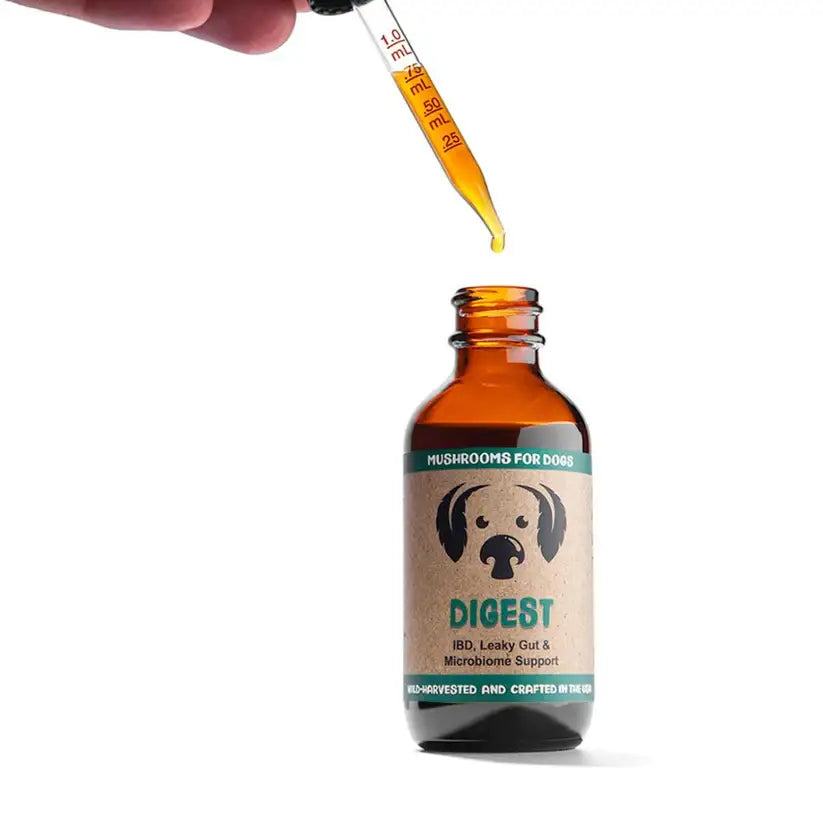 MycoDog Digest Mushroom Tincture for Digestive Function