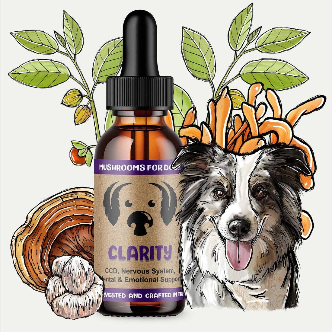 MycoDog Clarity Mushroom Tincture for Cognitive Function and Relaxation
