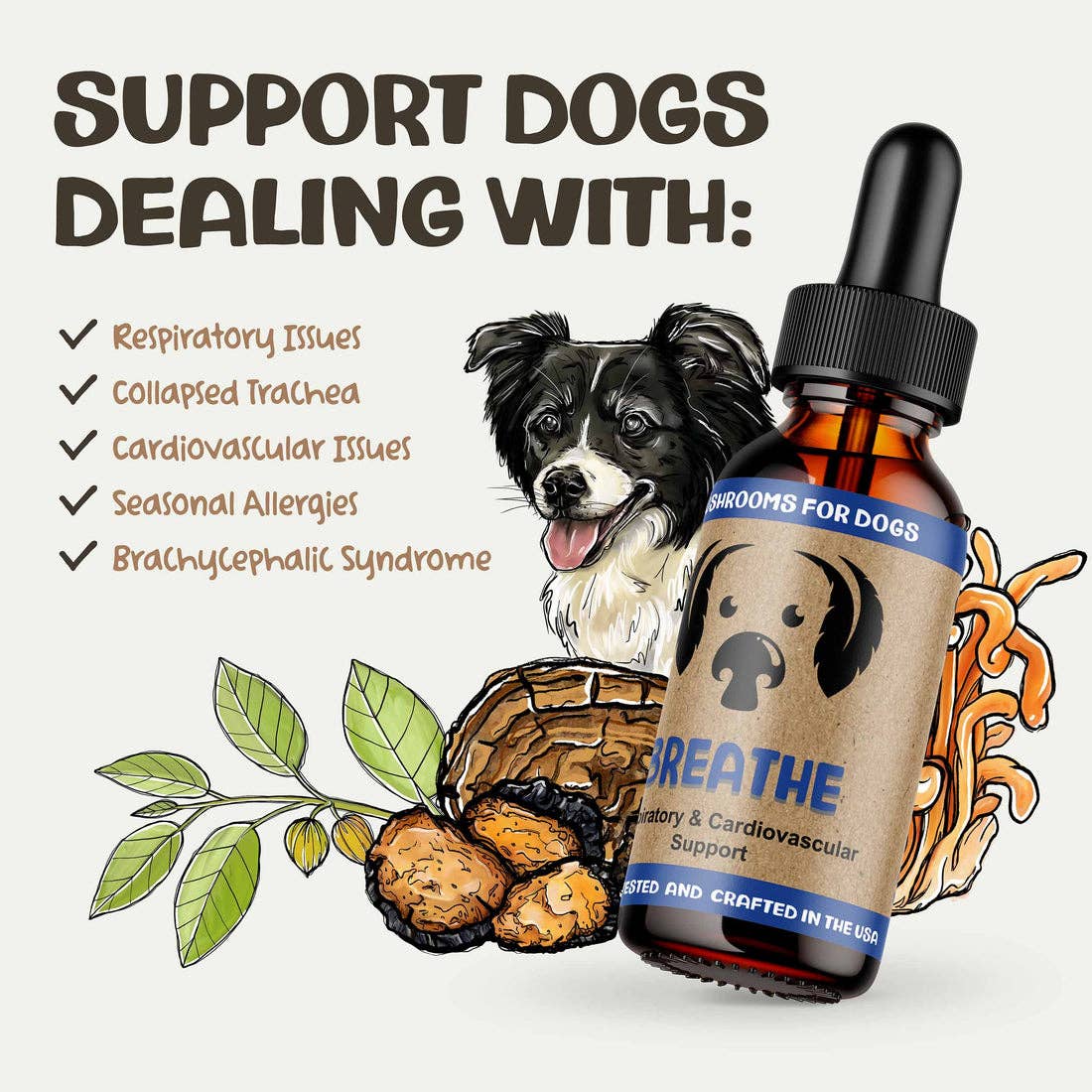 MycoDog Breathe Mushroom Tincture for Respiratory and Cardiovascular Support