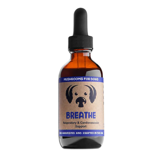 MycoDog Breathe Mushroom Tincture for Respiratory and Cardiovascular Support