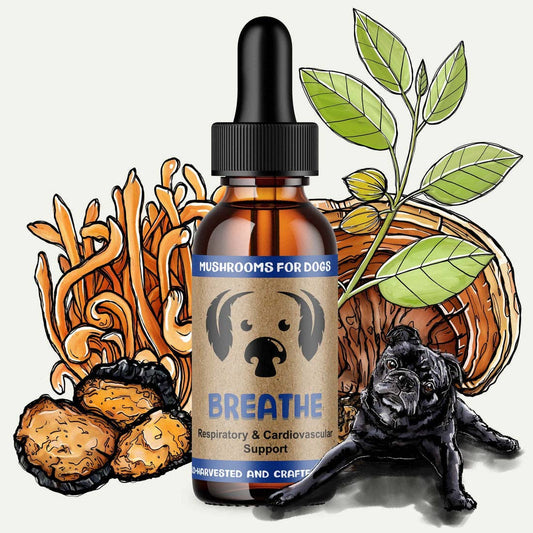 MycoDog Breathe Mushroom Tincture for Respiratory and Cardiovascular Support