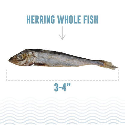 Icelandic+ Herring Whole Fish Dog Treats: 3-oz Bag