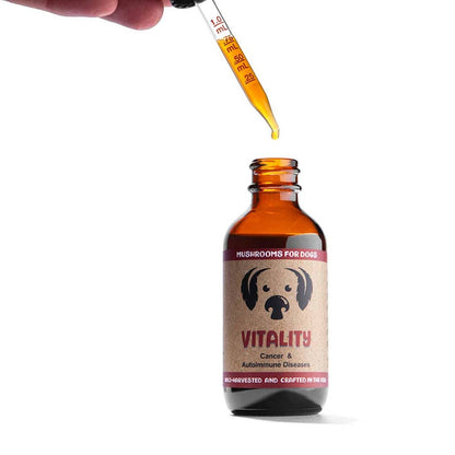 MycoDog Vitality Mushroom Tincture for Daily Wellness