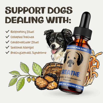 MycoDog Breathe Mushroom Tincture for Respiratory and Cardiovascular Support