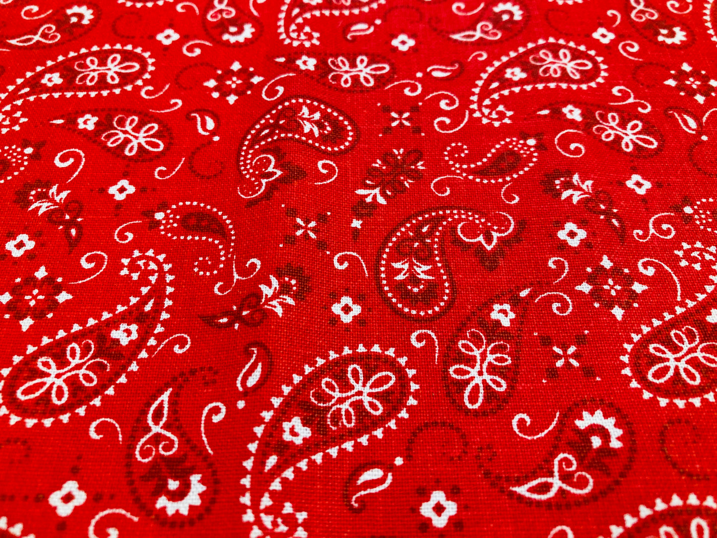 Over the Collar Bandana - Medium