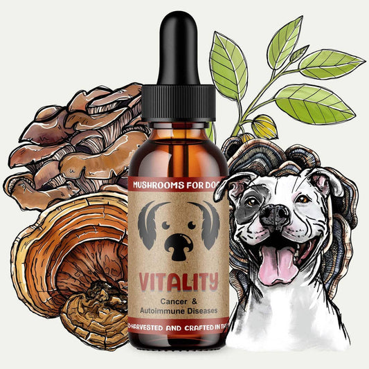 MycoDog Vitality Mushroom Tincture for Daily Wellness