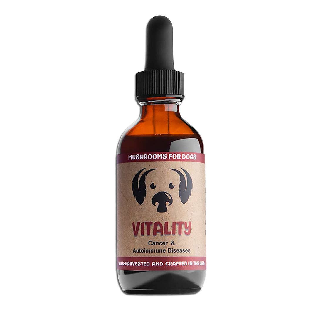 MycoDog Vitality Mushroom Tincture for Daily Wellness