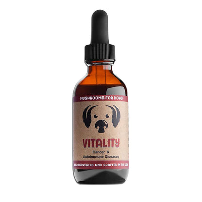 MycoDog Vitality Mushroom Tincture for Daily Wellness