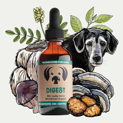 MycoDog Digest Mushroom Tincture for Digestive Function