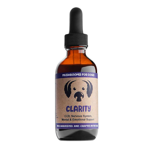 MycoDog Clarity Mushroom Tincture for Cognitive Function and Relaxation