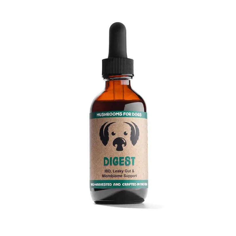 MycoDog Digest Mushroom Tincture for Digestive Function