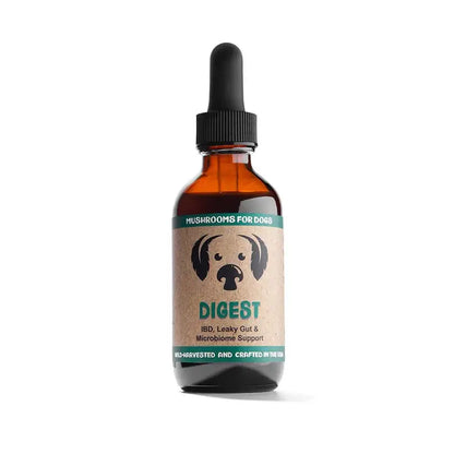 MycoDog Digest Mushroom Tincture for Digestive Function