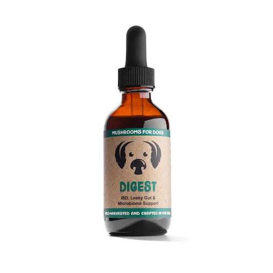 MycoDog Digest Mushroom Tincture for Digestive Function